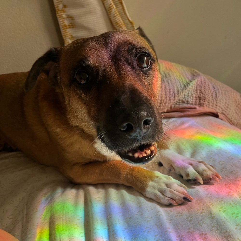 Meet your Posher, Ellie